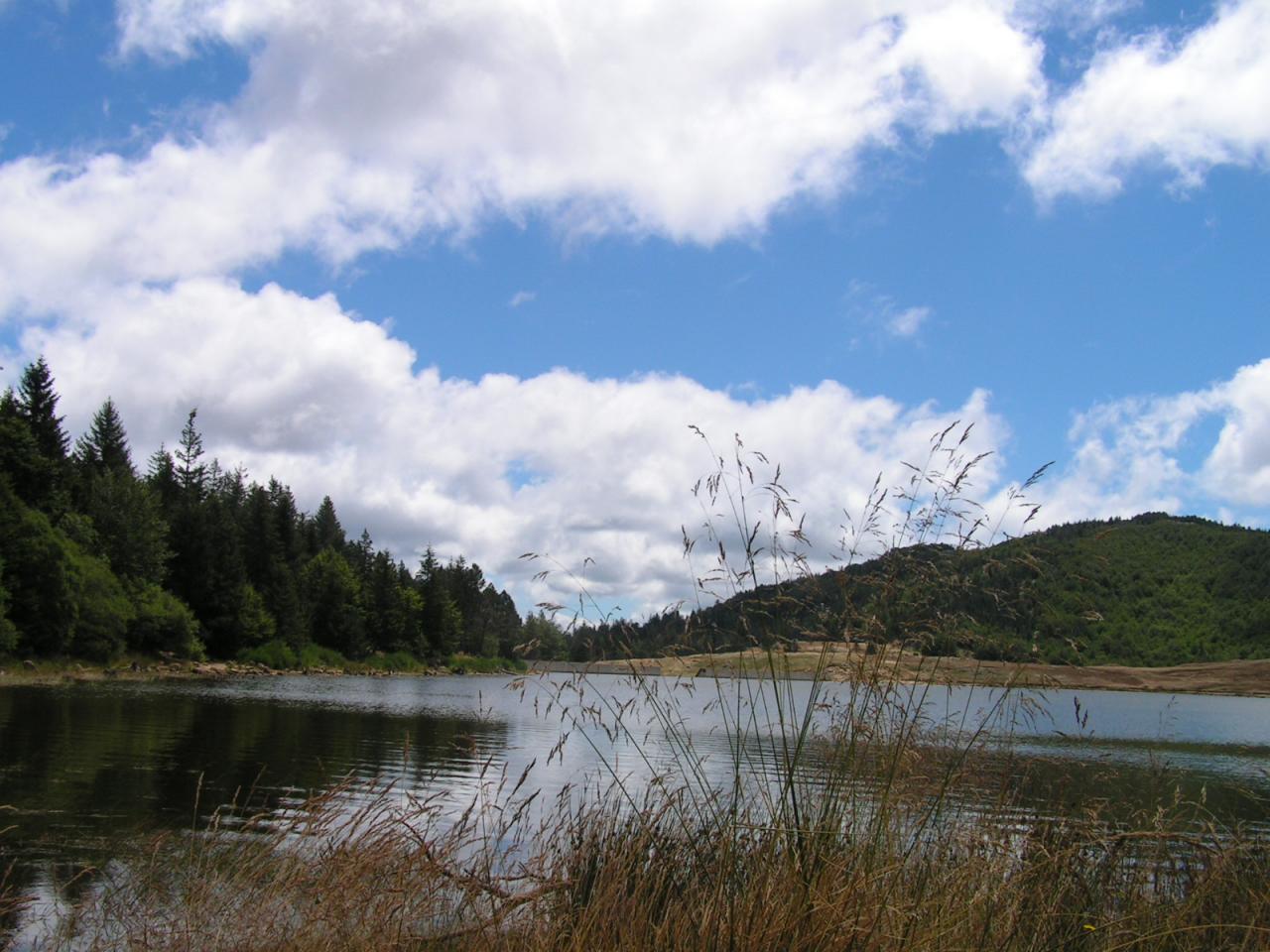 le lac en été