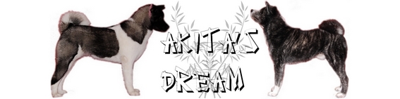 AKITA'S DREAM