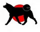 Autres sur les chiens