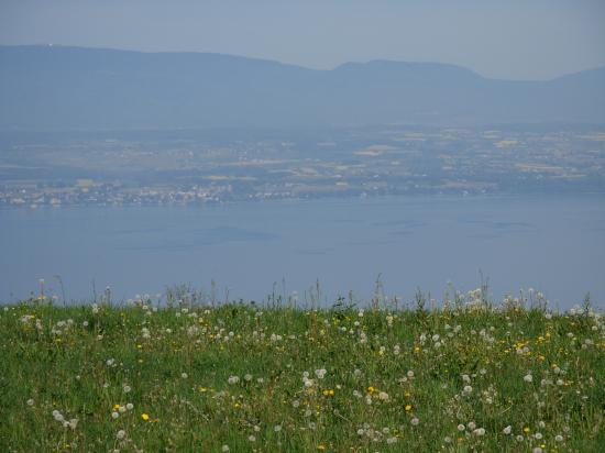 DSCN0098