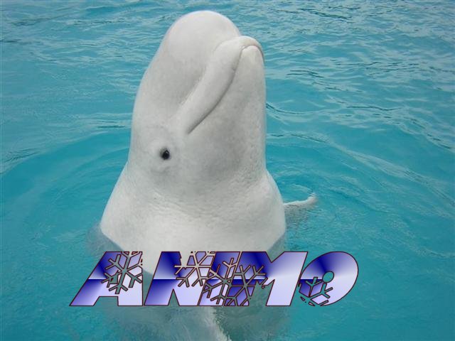 AnimO