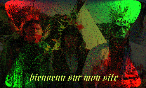 DANS L UNIVERs ameriendien DE TATANKA