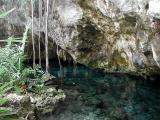 Tulum Cenotes - Cenotes de Tulum