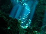 Northern Cenotes - Cenotes du Nord - Cenotes del Norte
