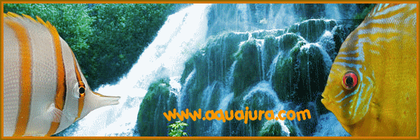 aquajura.com