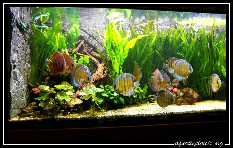 photo de groupe de discus