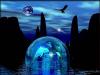 Album par d�faut