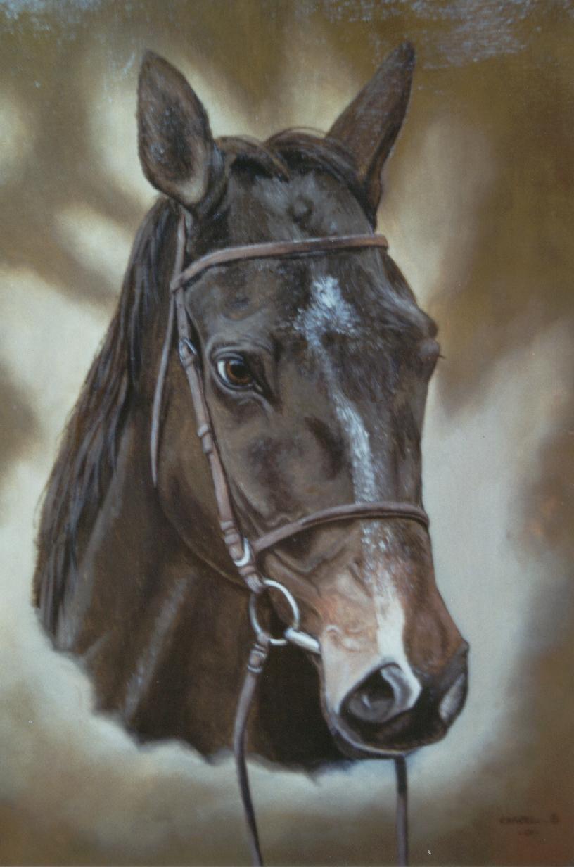 Portrait Cheval