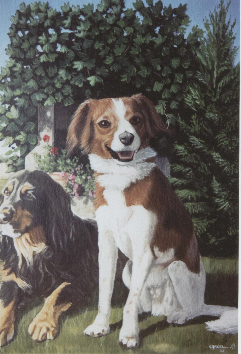 Chiens
