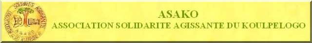 - Association Solidarit� Agissante Du Koulpelogo
