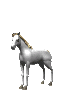 gif : chevaux de cin�ma 1
