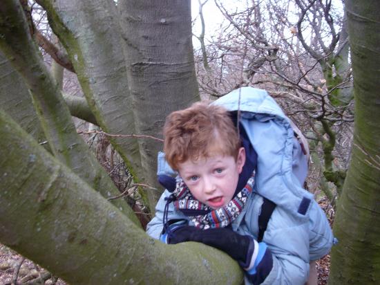 Théo dans les Arbres