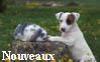 Nouveau sujet