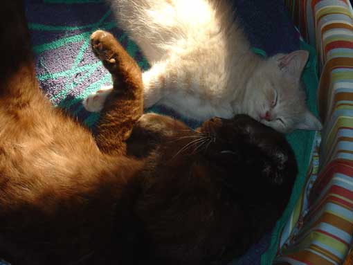 Ausone et C�zanne 2