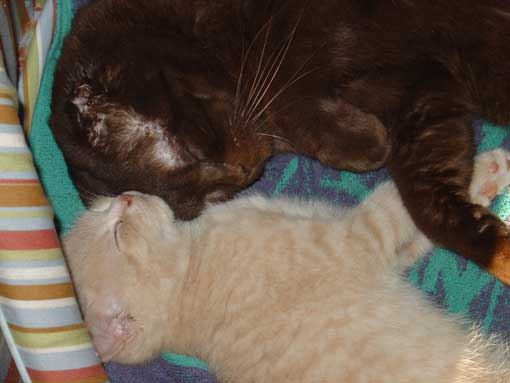 Ausone et C�zanne 3