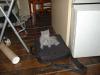 Album par d�faut