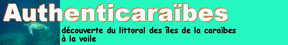 authenticaraibes.com
