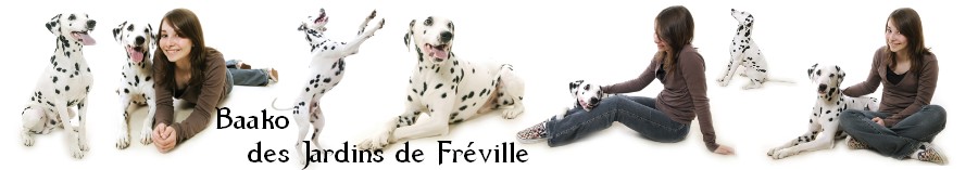 Baako des Jardins de Fréville