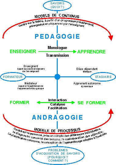 andragogie