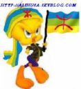 tamazight
