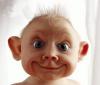 Album par d�faut