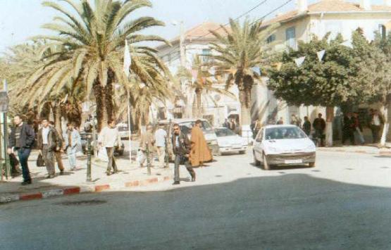 bek8.jpg