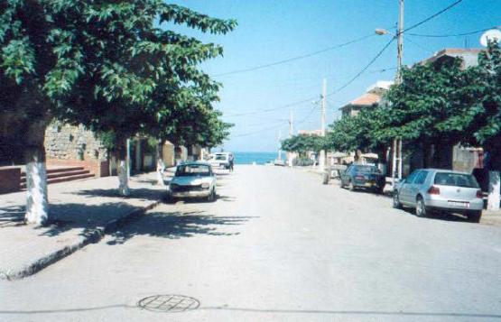 bek18.jpg