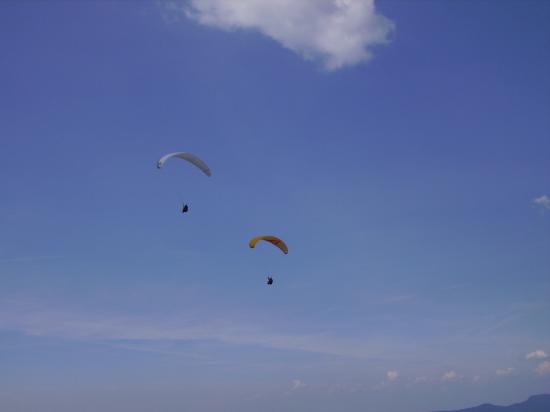 activit� d �t�