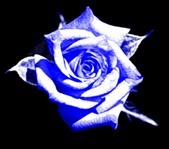 bluezy.jpg