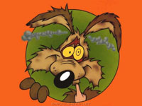 Coyote2.jpg