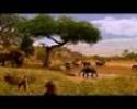 michael Jackson-earth song