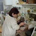 Catherine Cauhape-Coudure