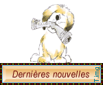 LES NEWS