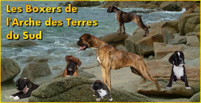  l'Arche des Terres du Sud