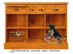 Entrer sur le site Bridiniette ouvre ses tiroirs...