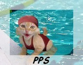 PPS