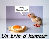 Un brin d'humour