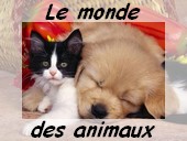 Le monde des animaux