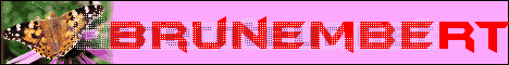 brunembert...f�te de la pomme- artisants- cidre