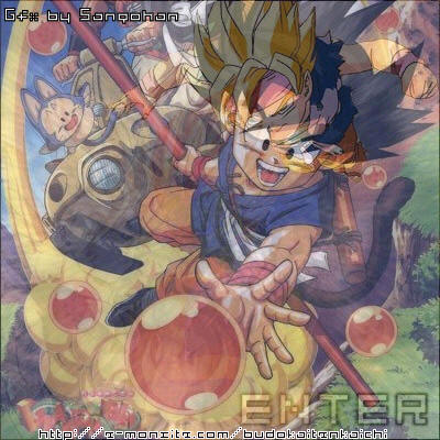 Budokai Tenkaichi