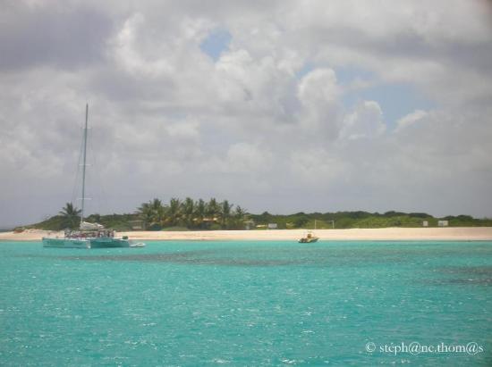 Anguilla - Prickley Pear