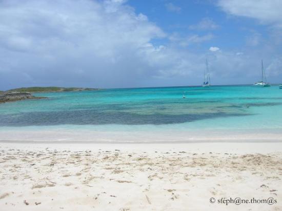 Anguilla - Prickley Pear