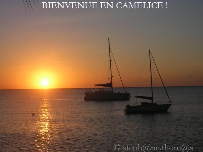 camelice