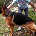 PACO ET SES DESCENDANTS