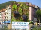 corso de la lavande