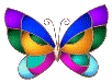 papillon