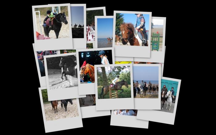 Centre Equestre de Bretteville sur Odon