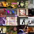 Album par d�faut