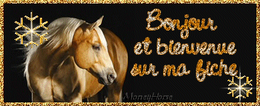 Mon �levage de Mon petit poney