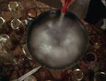 Potions